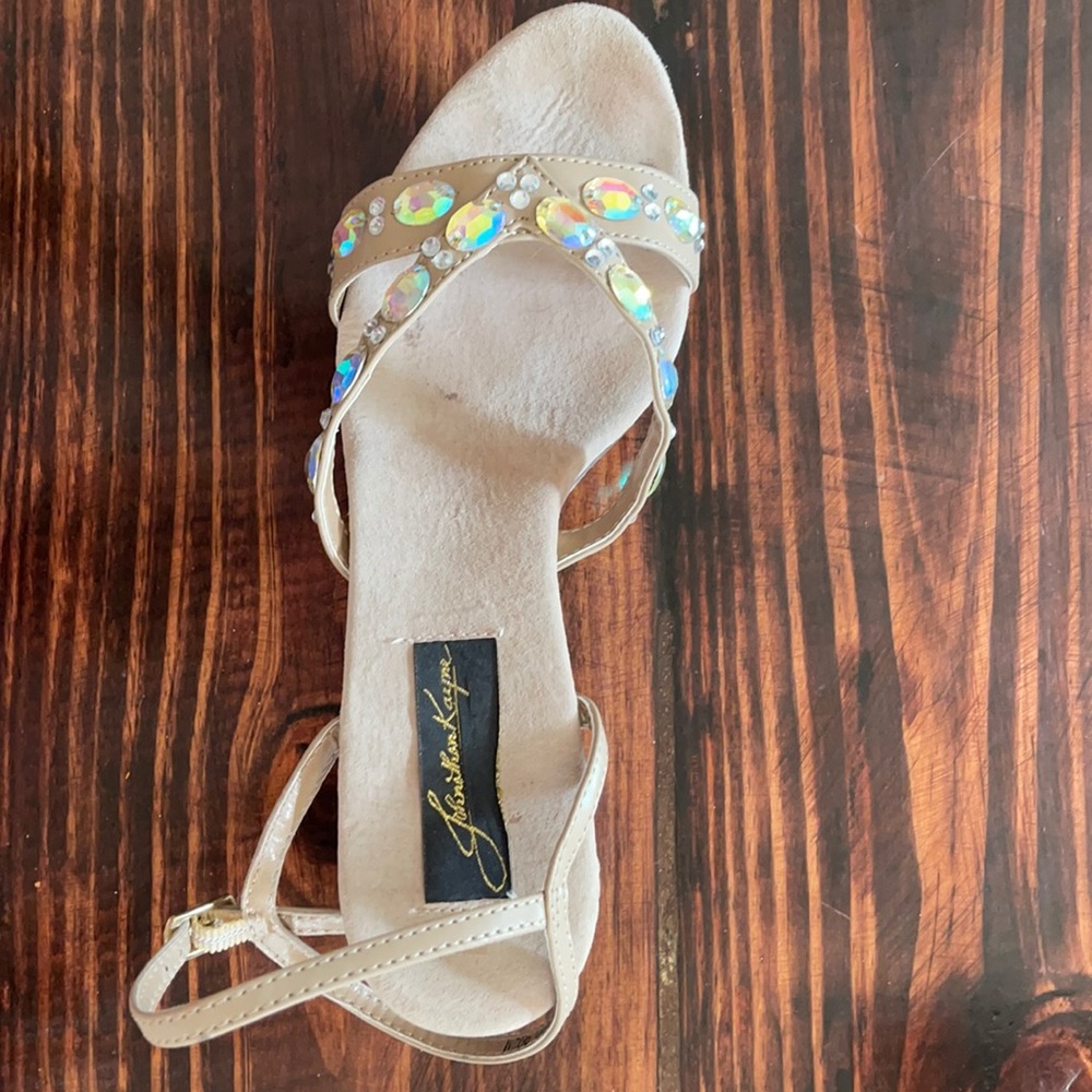 Jonathan Kane formal acrylic heels 👠